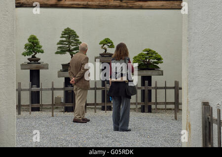 Die nationalen Bonsai & Penjing Museum am U.S. National Arboretum. Washington DC. USA Stockfoto