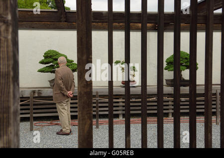 Die nationalen Bonsai & Penjing Museum am U.S. National Arboretum. Washington DC. USA Stockfoto