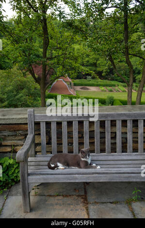 Die Gärten von Dumbarton Oaks. Washington, DC. USA Stockfoto