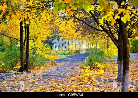 Herbsttag in einer schattigen Gasse Stockfoto