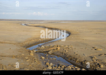 Bach in einem verlassenen Land in der Nähe von salzigen See Baskunchak Stockfoto