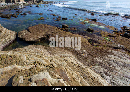 Klippen und das Meer in der Nähe von Point Loma, San Diego Stockfoto