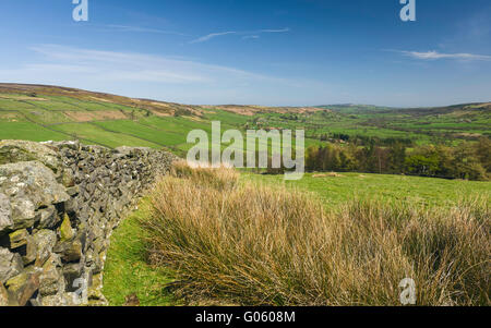Die North York Moors National Park an einem hellen Frühlingsmorgen zeigt die hügelige Landschaft mit Feldern und Trockenmauer. Stockfoto