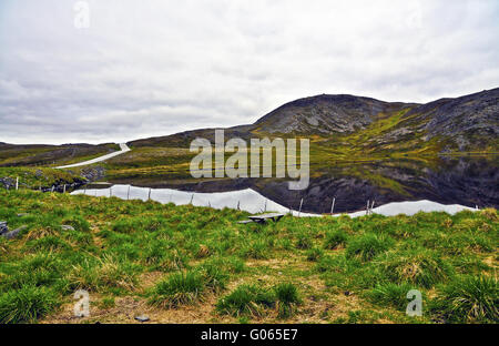 Landschaft am Nordkap im Hochsommer (Norw Stockfoto