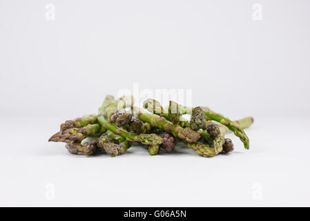 Spargelköpfe vor einem weißen Hintergrund Stockfoto