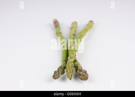 Spargelköpfe vor einem weißen Hintergrund Stockfoto