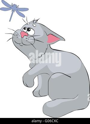 Katze-Farbe 08 Stockfoto