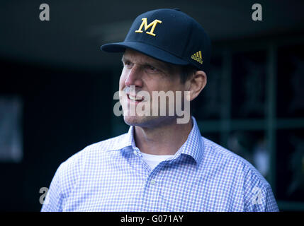 Detroit, Michigan, USA. 27. April 2016. Michigan-Fußball-Trainer Jim Harbaugh vor MLB Spielaktion zwischen Oakland Athletik und die Detroit Tigers im Comerica Park in Detroit, Michigan. Die Tiger besiegte die Leichtathletik 9-4. John Mersits/CSM/Alamy Live-Nachrichten Stockfoto