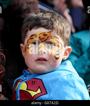 Welford Road, Leicester, UK. 30. April 2016. Aviva Premiership Leicester Tigers gegen Worcester Warriors. Ein junger Tiger folgt die Aktion. Bildnachweis: Aktion Plus Sport/Alamy Live-Nachrichten Stockfoto