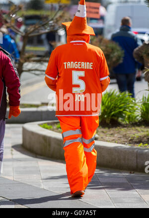 Blackpool, Lancashire, UK 30. April 2016.   Fans zeigen außen Bloomfield Road FC. Bedeutende Verhaftungen wurden in Blackpool als Fußballverein, die Fans außerhalb des Stadions gegen das weiterhin Eigentum des Vereins protestierten Hunderte von der Oyston-Familie gemacht.   Eine starker Polizeipräsenz berittene Offiziere mit der Unterstützung des OSD getrennt das Post-Match Demonstrationen als skandierten die Fans in die Resorts Almosen Häuser verschüttet. Bildnachweis: Cernan Elias/Alamy Live-Nachrichten Stockfoto