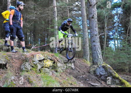 Mountain Bike Teilnehmer bei Dunkeld Enduro Mountain Bike Event, Dunkeld 2016 Stockfoto