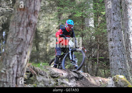 Mountain Bike Teilnehmer bei Dunkeld Enduro Mountain Bike Event, Dunkeld 2016 Stockfoto