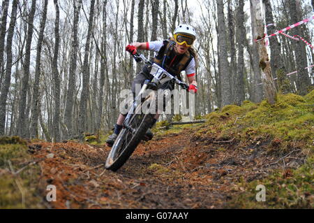 Mountain Bike Teilnehmer bei Dunkeld Enduro Mountain Bike Event, Dunkeld 2016 Stockfoto