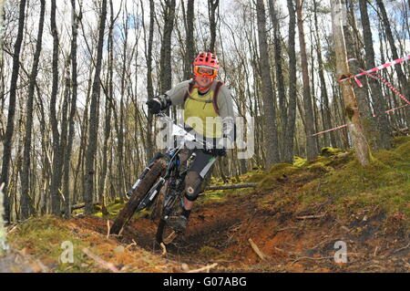 Mountain Bike Teilnehmer bei Dunkeld Enduro Mountain Bike Event, Dunkeld 2016 Stockfoto
