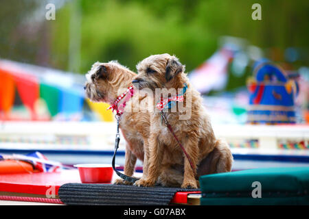 London, UK. 30. April 2016. Dekoriert mit Girlanden und Fahnen auf dem 2016 Canalway Kavalkade-Festival in Little Venice, Warwick Avenue Narrowboats. Die jährliche Veranstaltung, organisiert von The Inland Waterways Association überfährt Mai Wochenende und Feiertagen. Bildnachweis: Dinendra Haria/Alamy Live-Nachrichten Stockfoto