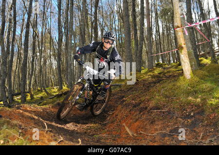 Mountain Bike Teilnehmer bei Dunkeld Enduro Mountain Bike Event, Dunkeld 2016 Stockfoto