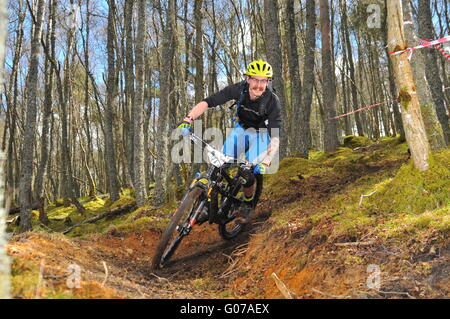 Mountain Bike Teilnehmer bei Dunkeld Enduro Mountain Bike Event, Dunkeld 2016 Stockfoto