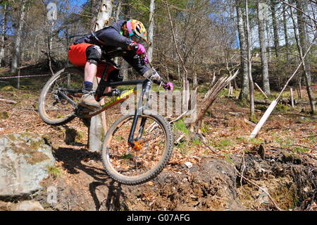 Mountain Bike Teilnehmer bei Dunkeld Enduro Mountain Bike Event, Dunkeld 2016 Stockfoto