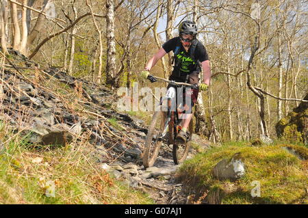 Mountain Bike Teilnehmer bei Dunkeld Enduro Mountain Bike Event, Dunkeld 2016 Stockfoto
