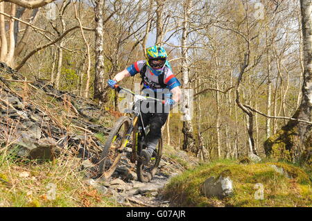 Mountain Bike Teilnehmer bei Dunkeld Enduro Mountain Bike Event, Dunkeld 2016 Stockfoto