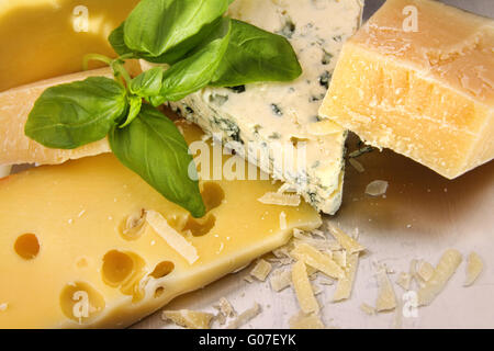 Eine Auswahl an Käse auf Edelstahl Theke Stockfoto