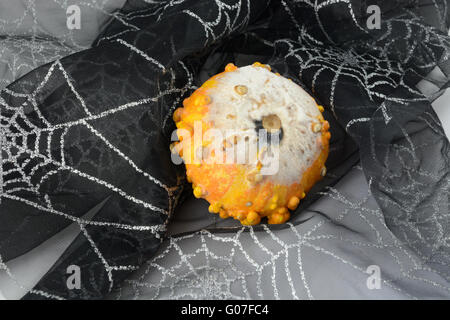 Halloween haunted House Dekoration von verschimmelten Gänsehaut Kürbis auf Spider Web Stoff Stockfoto