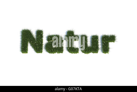 Natur: Serie Schriftarten aus realistischen Grass Sprache G (Natur) Stockfoto