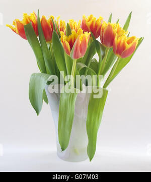 Orange-gelb-Papagei-Tulpen in einer Vase aus Glas Stockfoto