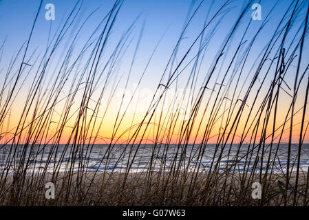 Ein Bild von einem wunderschönen Sonnenaufgang über einen Zaun am Strand suchen. Gefangen in Virginia Beach, Virginia. Stockfoto