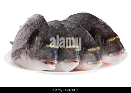 Vier Dorado Fische auf weiße Schale isoliert auf weiss Stockfoto