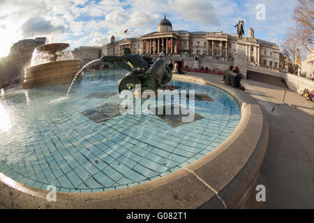 Brunnen der Trafalgar Square in London, Vereinigtes Königreich Stockfoto