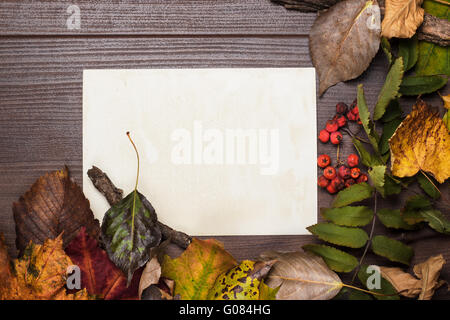 buntes Herbstlaub und leeres Blatt Papier ba Stockfoto