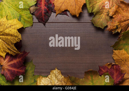 buntes Herbstlaub Frame auf hölzernen Hintergrund Stockfoto