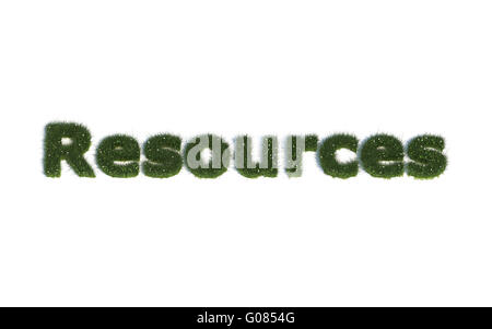 Ressourcen: Serie Schriftarten aus realistischen Grass Sprache E Stockfoto