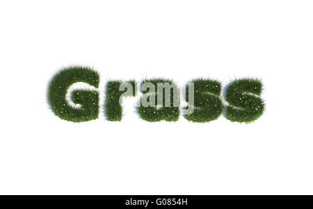 Grass: Serie Schriftarten aus realistischen Grass Sprache E Stockfoto