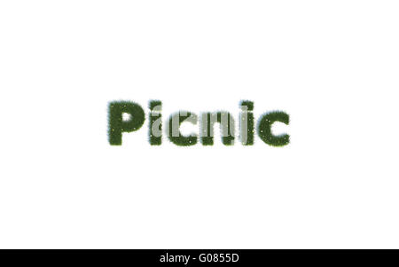 Picknick: Serie Schriftarten aus realistischen Grass Sprache E Stockfoto