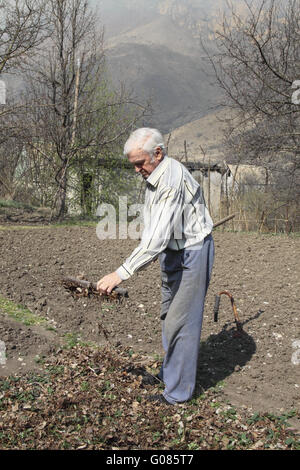 Älterer Mann reinigt Rechen Laub im Garten Stockfoto