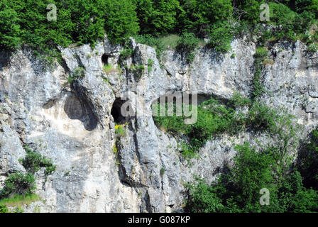 Closeup Kalkfelsen Stockfoto