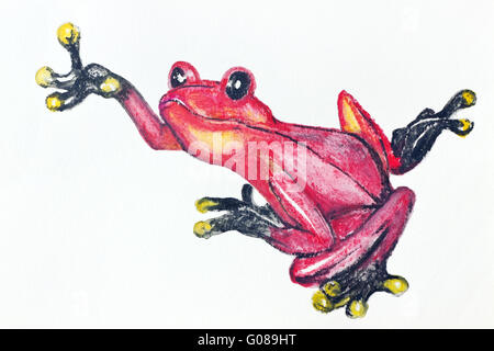 Roten Pfeilgiftfrosch aus südlichen Amerika - handgemachte Aquarellmalerei Illustration auf weißem Papier Kunst Hintergrund Stockfoto