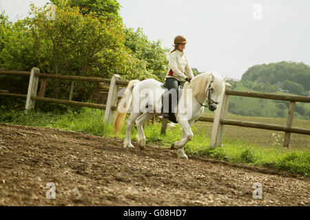 Gril auf Rückseite Connemarapony Hengst Reiten Stockfoto