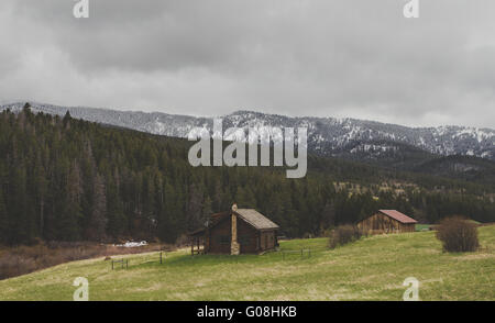 Schönes Blockhaus in einem Montana Wald mit Bergen im Hintergrund. Stockfoto