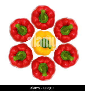 Ansicht von oben, rote und gelbe süße Paprika isoliert auf weißem Hintergrund Stockfoto