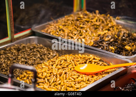 Gebratene Insekten wie Insekten, Heuschrecken, Larven, Raupen und Skorpione als Nahrung auf die Steet von Pattaya, Thailand verkauft werden Stockfoto