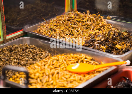 Gebratene Insekten wie Insekten, Heuschrecken, Larven, Raupen und Skorpione als Nahrung auf die Steet von Pattaya, Thailand verkauft werden Stockfoto