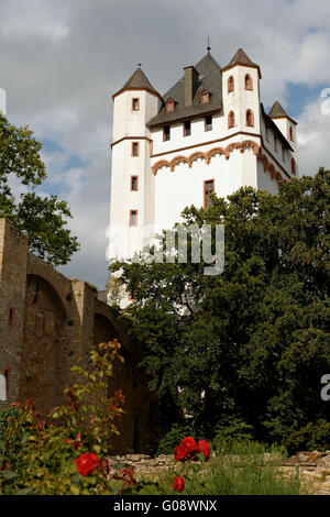 Burg Eltville Stockfoto