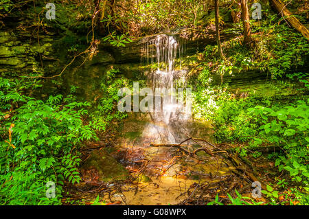 schöne Watrefalls im US-Bundesstaat South carolina Stockfoto