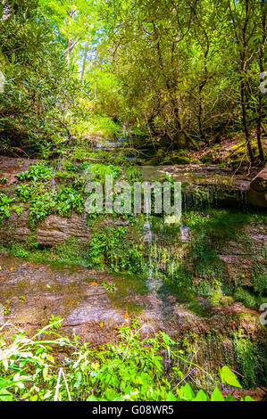 schöne Watrefalls im US-Bundesstaat South carolina Stockfoto