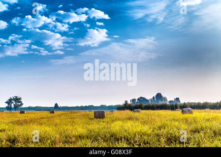 Links das hohe Gras der italienischen Landschaft Heuballen Stockfoto