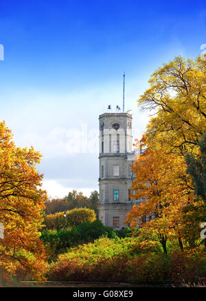 Russland, Gattschina, helle Herbst Baum im Park in der Nähe einer Stockfoto