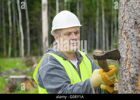 Holzfäller arbeiten im Wald mit einer Axt Stockfoto